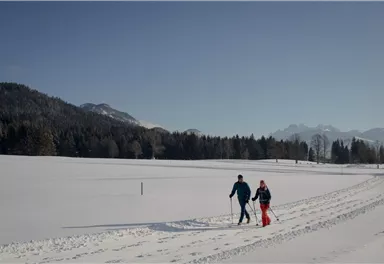 Going_Schwendter Sonnenplateau Winterrunde_Wilder Kaiser