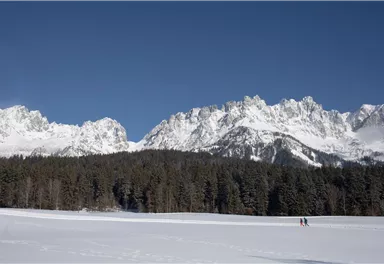 Going_Schwendter Sonnenplateau Winterrunde_Wilder Kaiser