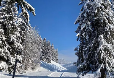 Going_Connection Blattlloipe-Schwendterloipe_Wilder Kaiser