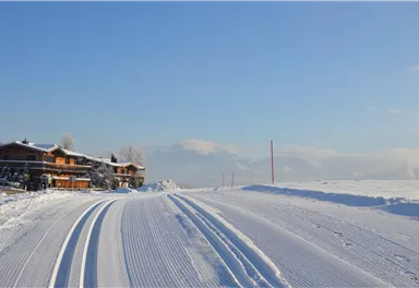 Going_Verbindungsloipe Blattlloipe-Aschauerloipe_Wilder Kaiser