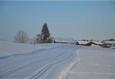 Going_Verbindungsloipe Blattlloipe-Aschauerloipe_Wilder Kaiser(8).JPG