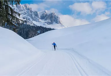 Loipe_Going_Foto Martin Raffeiner 3.jpg