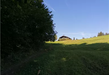 Going_Wandern_Hollenauer_Kreuz_Runde_Weg_Nr6_Sommer2021_Daniela Pfeiler (4).jpg