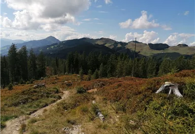 Going_Wandern_Rauher Kopf_Weg Nr9_Wilder Kaiser