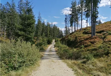 Going_Wandern_Rauher Kopf_Weg Nr9_Wilder Kaiser