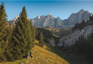 Going_Weg Nr. 817_Stiegenbachwasserfall_Wilder Kaiser