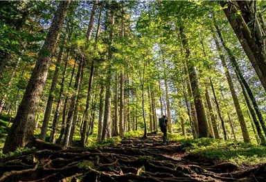 Going_Weg Nr. 817_Wilder Kaiser