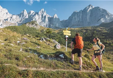 Going_Weg Nr. 817/827_Wilder Kaiser
