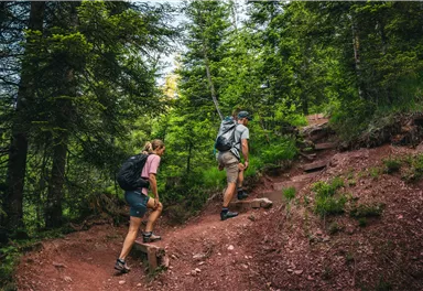 Going_ Weg Nr. 818_Wilder Kaiser