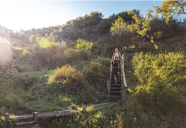 Going_Weg Nr. 824_Baumgartenköpfl_Wilder Kaiser