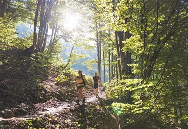 Going_Weg Nr. 824_Wilder Kaiser