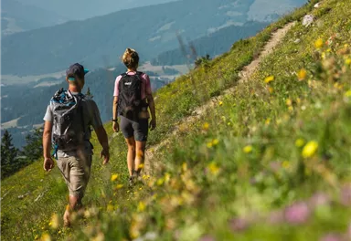 Going_Weg Nr. 827_Wilder Kaiser