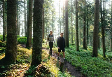 Going_Weg Nr. 9_Wilder Kaiser