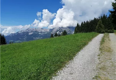 Going_Weg Nr9_von Lierstätt Richtung Brenneralm_Wilder Kaiser