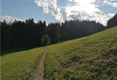 Going_Weg Nr9_zwischen Kathen und Astberg_Wilder Kaiser