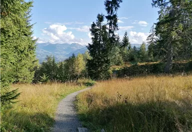 Going_Weg Nr9_zwischen Kathen und Astberg_Wilder Kaiser