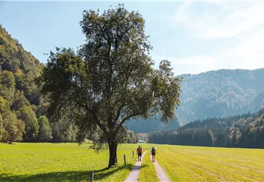 Griesenau_Kaiserkrone_Etappe 4_Wilder Kaiser