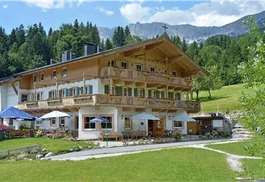 Haflingertränke_Sommer