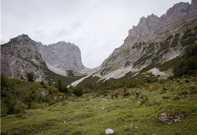 Kaisergebirge bei Ellmau-Going, Klammlsteig zur Gruttenhuette, Adlerweg Etappe 02_Tirol Werbung_Schwarz Jens_Ellmau.jpg