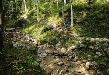 Kaiserkrone Trail_Scheffau_Short