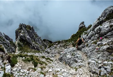 Kaiserkrone Trail_Scheffau_Skyrace_Downhill Scheffauer