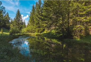 Kirchdorf_Kaiserkrone_Etappe 4_Wilder Kaiser