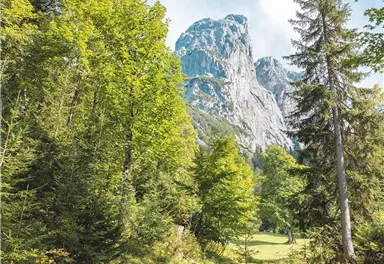 Kaiserkrone_Weitwanderweg_2023_Etappe3_MathäusGartner (42)_72dpi.jpg