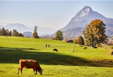 Kufsteinerland_Kaiserradrunde_Wilder Kaiser