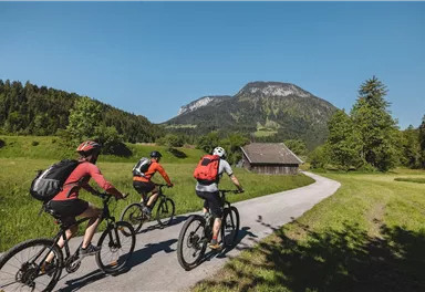 Pölvenradrunde Söll