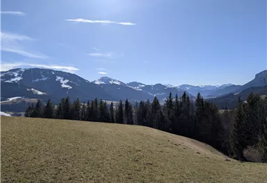 Scheffau_Schiessling_Runde_März_2025_TVB Wilder Kaiser (7).jpg