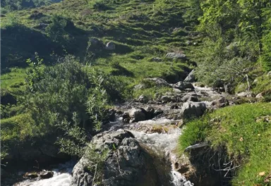 Bach_Richtung Kaiseralm_Scheffau.jpg