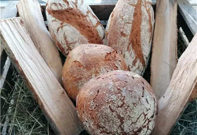 Bärnstatthof_Marktplatz_Hermann Hollrieder (17).jpg