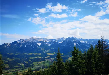 Scheffau_Brandstadl_Ausblick_Wilder Kaiser