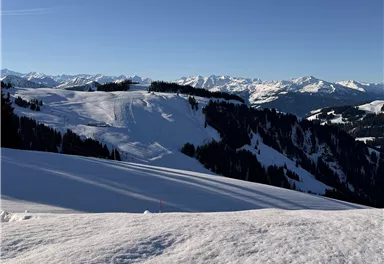 Scheffau_Brandstadl_Gipfelkreuz_Runde_Ausblick