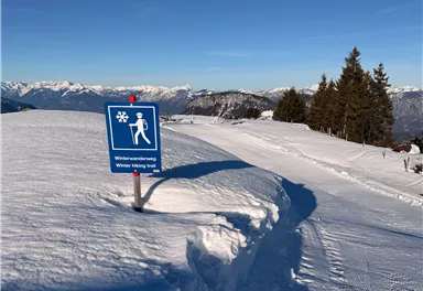 Scheffau_Brandstadl_Gipfelkreuz_Runde_Beschilderung