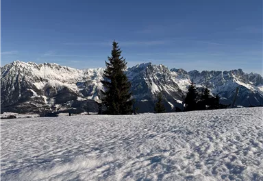 Scheffau_Brandstadl_Winter_Panorama_Wilder Kaiser