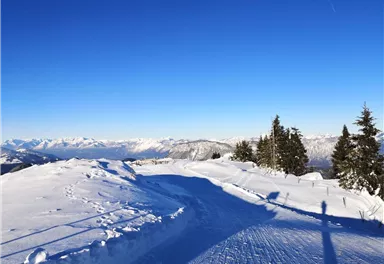 Scheffau_Brandstadl_Winterrunde_Wilder Kaiser
