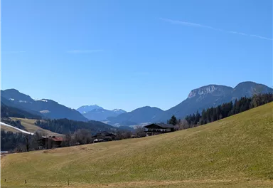 Scheffau_Ellmau_Horngach_Ausblick_Frühling