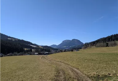 Scheffau_Ellmau_Horngach_Niederachen_Feldweg_Winter_Frühling