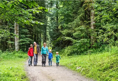 Scheffau_Familie Wandern_Scheffau_Wilder Kaiser