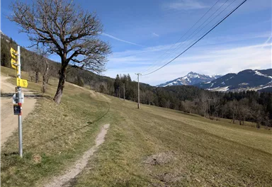 Scheffau_Schiessling_Runde_März_2025_TVB Wilder Kaiser (10).jpg