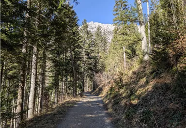 Scheffau_Schiessling_Runde_März_2025_TVB Wilder Kaiser (3).jpg