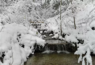 Scheffau_GlasklareBäche_Winterrunde_Bach_Wilder Kaiser