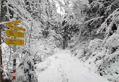 Scheffau_GlasklareBäche_Winterrunde_Talschuster_Wilder Kaiser