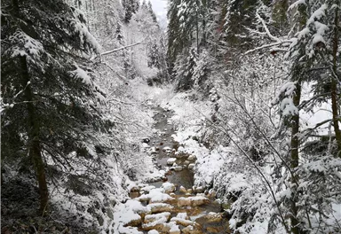 Scheffau_GlasklareBäche_Winterrunde_Trattenbach_Wilder Kaiser