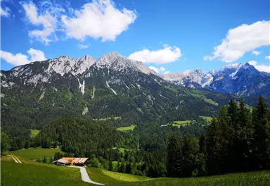 Scheffau_Greidern_Schupfen_Wilder Kaiser