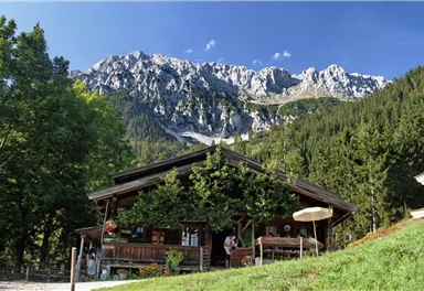 Scheffau_Hinterschießlingalm_Wilder Kaiser