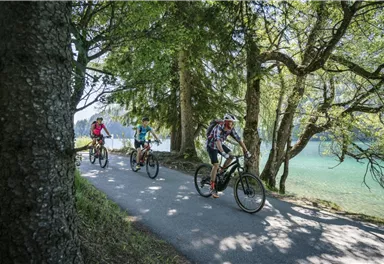 Mountainbike E-Bike_Wilder Kaiser_Foto Sternmanufaktur (139).jpg