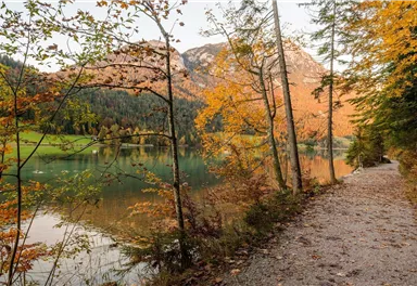 Scheffau_Hintersteiner See_Herbst_Wilder Kaiser