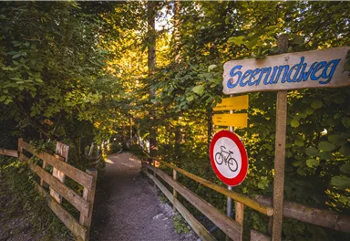 Scheffau_Hintersteiner See_Sommer_Seerundweg_Eingang